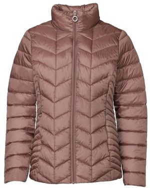 Danwear Winter Jackets - Brown