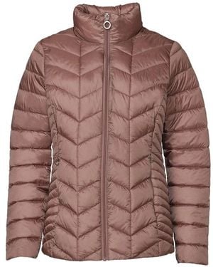 Danwear Winter Jackets - Brown