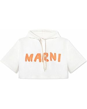 Marni Hoodies - Rosa