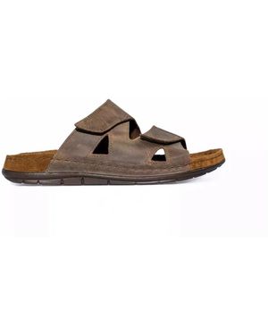 Rohde Sliders - Marrone