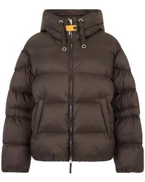 Parajumpers Down Jackets - Marrone