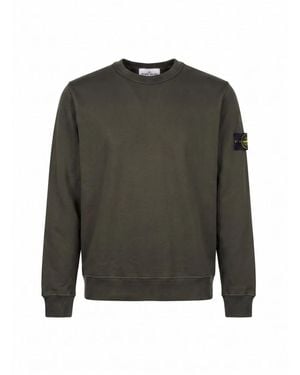 Stone Island Hoodies & Sweatvesten ,Bruin ,Sweatshirts - Groen