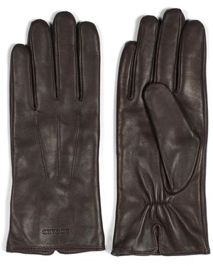 Howard London Gloves - Bruin