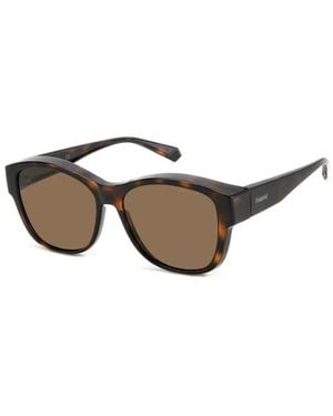 Polaroid Sunglasses - Brown