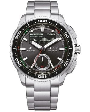 Citizen Watches - Mettallic