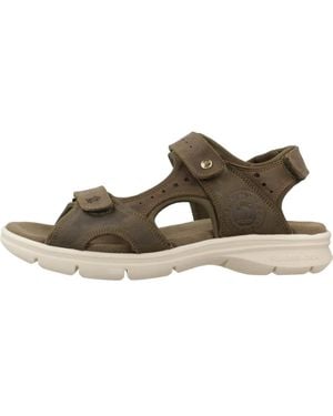Panama Jack Flat Sandals - Marrone
