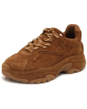 Ash Trainers - Brown