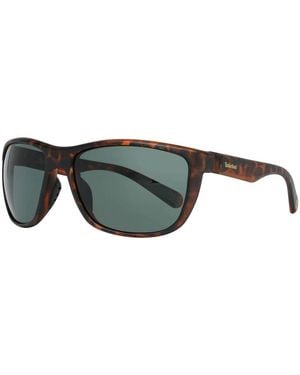 Timberland Sunglasses - Green