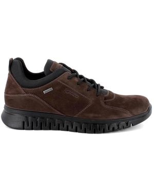 Igi&co Sneakers - Brown