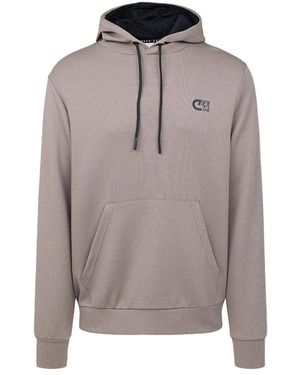 Cruyff Hoodies & Sweatvesten ,Grijs ,Joaquim Hoodie