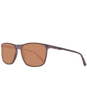Helly Hansen Sunglasses - Marrón