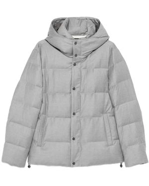 Montecore Winter Jackets - Gris