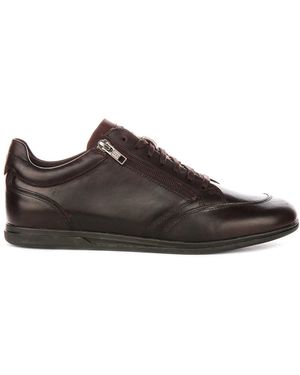 Geox Trainers - Brown