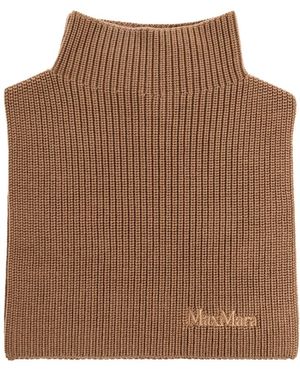 Max Mara Winter Scarves - Brown