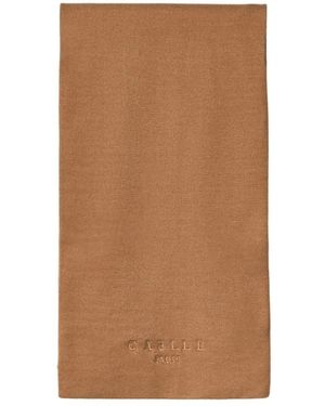 Gaelle Paris Winter Scarves - Marrón