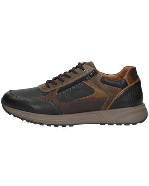 Australian Hawker Veterschoenen Laag - Braun