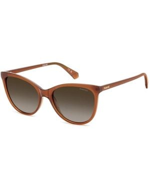 Polaroid Sunglasses - Brown