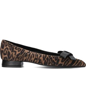 Lodi Taupe Ballerina Flats - Schwarz