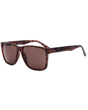 Calvin Klein Sunglasses - Marrone