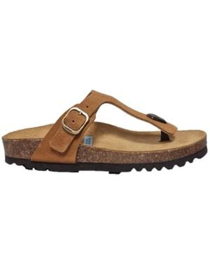 Scholl Flip Flops - Brown
