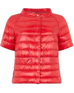 Herno Winter Jackets - Red