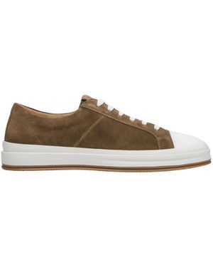 ESTRO Trainers - Brown