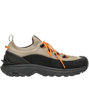 Moncler Sneakers - Marron