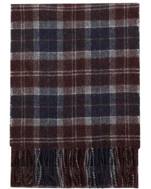 Barbour Winter Scarves - Morado