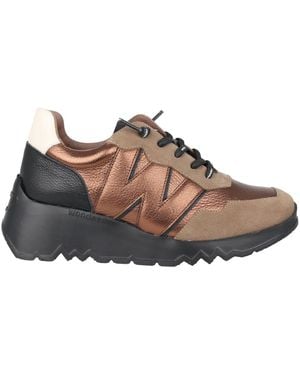 Wonders Trainers - Brown