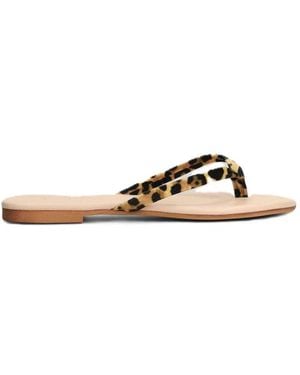 MC2 Saint Barth Flip Flops - Marrón