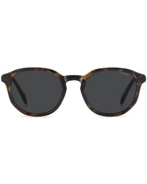 Polaroid Sunglasses - Black