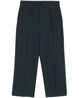 Barena Broeken ,Blauw ,Katoen Paola Canne Cropped Broek - Grijs