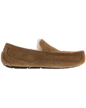 UGG Loafers - Marrone