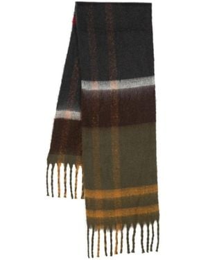 Barbour Winter Scarves - Multicolour
