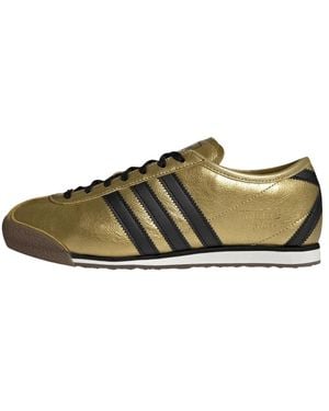 adidas Sport Shoes - Marron