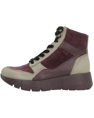 Hispanitas Montana Veterlaars - Bruin