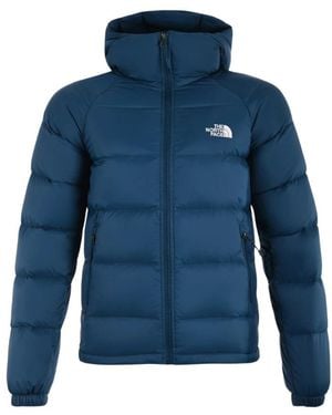 The North Face Winter Jackets - Bleu