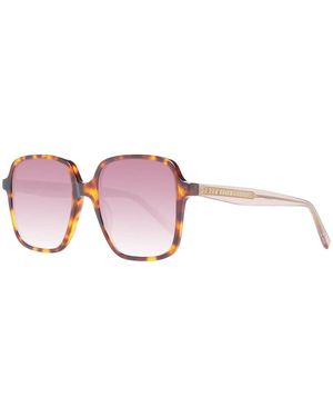 Ted Baker Sunglasses - Morado