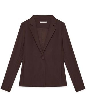 Maliparmi Blazers - Brown