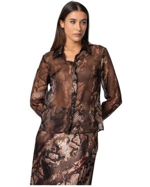 Kocca Shirts - Marrón