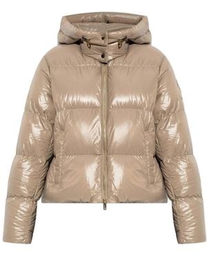 Moose Knuckles Winter Jackets - Natural
