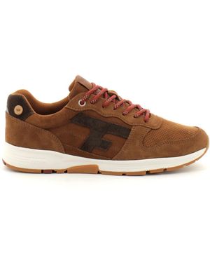 Faguo Sneakers - Marron