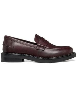 Geox Loafers - Marrone