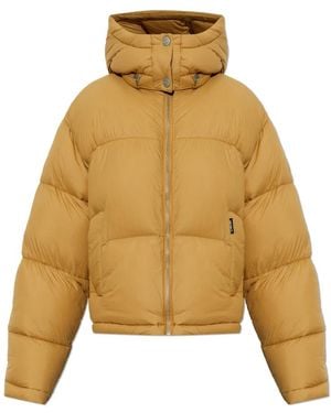 Carhartt Winter Jackets - Amarillo