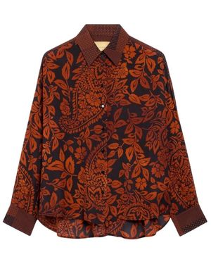 Momoní Shirts - Marrón
