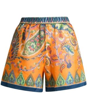 Etro Korte Broeken ,Veelkleurig ,Short Shorts - Oranje
