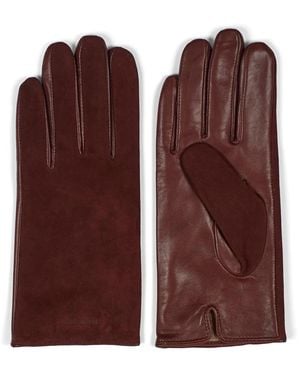 Howard London Gloves - Brown