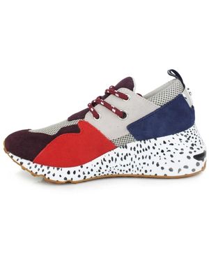 Steve Madden Trainers - Blue