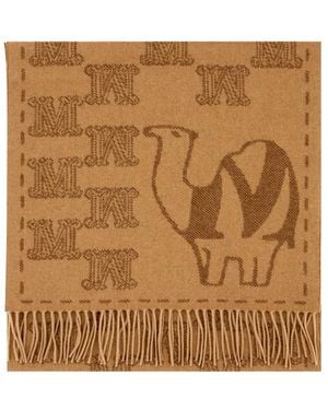Max Mara Winter Scarves - Marrón