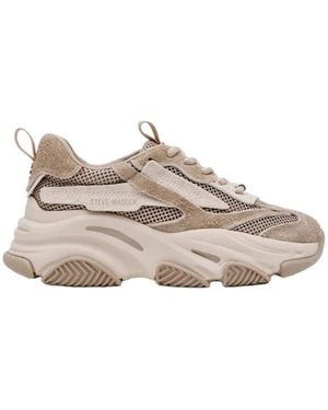Steve Madden Sneakers - Gris